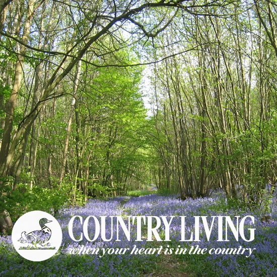 Country Living Magazine 2009